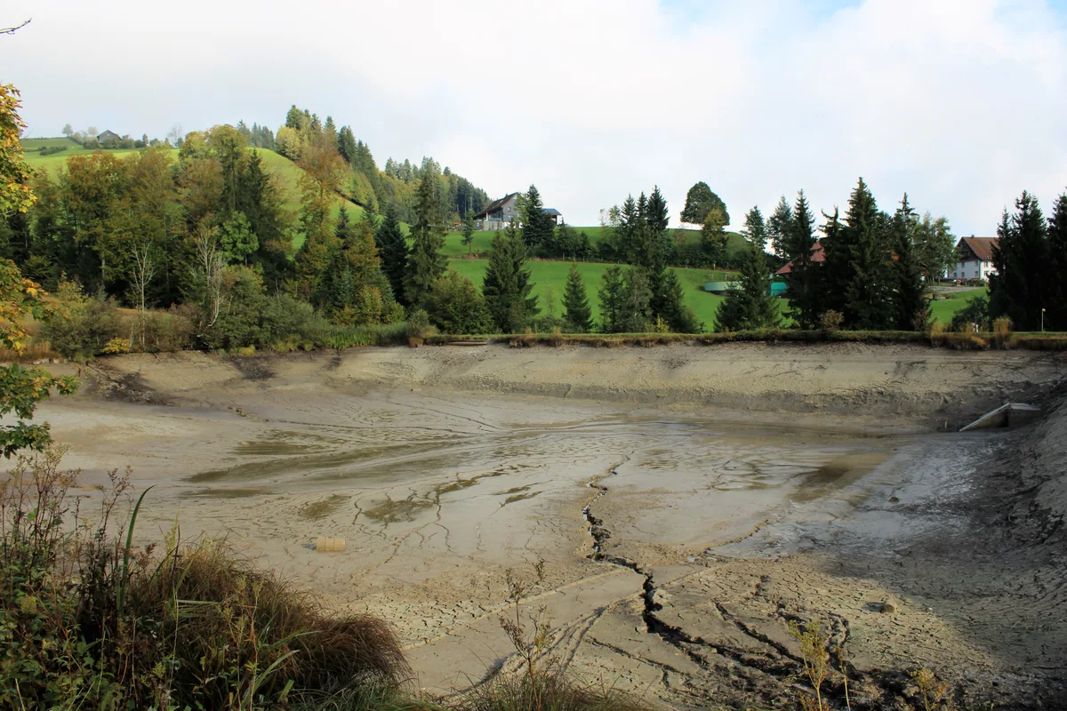 So sah der Bachtewlweiher aus, nachdem er abgefischt wurde im Oktober 2021